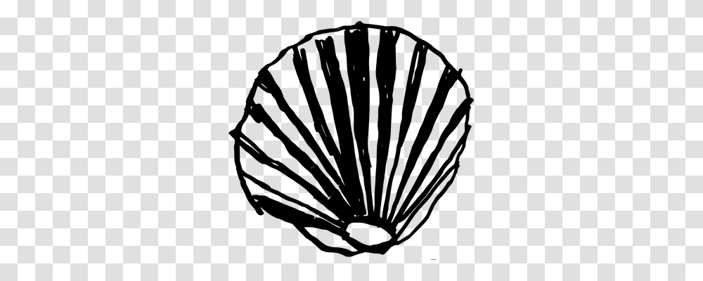 Conch Holiday, Gray, World Of Warcraft Transparent Png