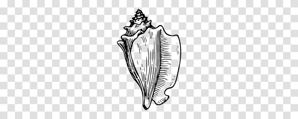 Conch Music, Gray, World Of Warcraft Transparent Png