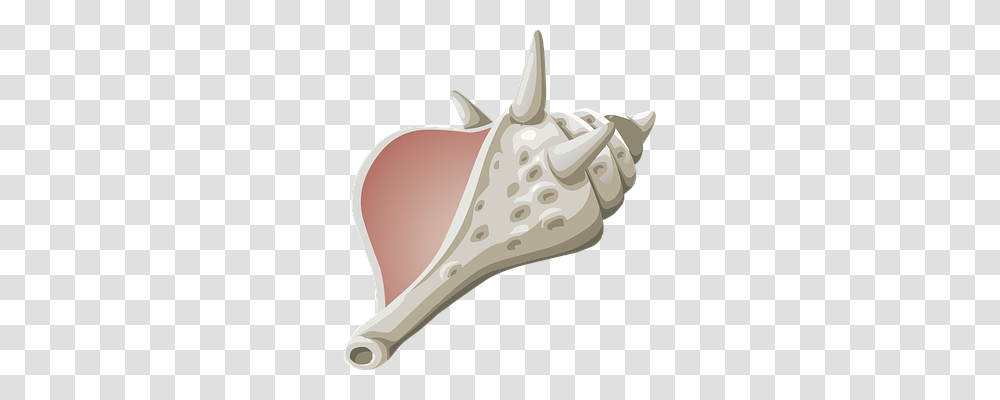 Conch Animals, Sea Life, Scissors, Blade Transparent Png