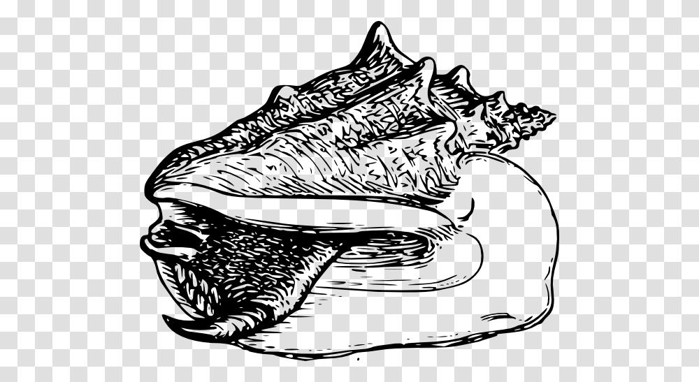 Conch Large Snail Clip Art, Shoe, Footwear, Apparel Transparent Png