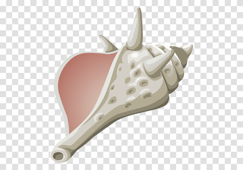 Conch, Nature, Animal, Sea Life, Invertebrate Transparent Png