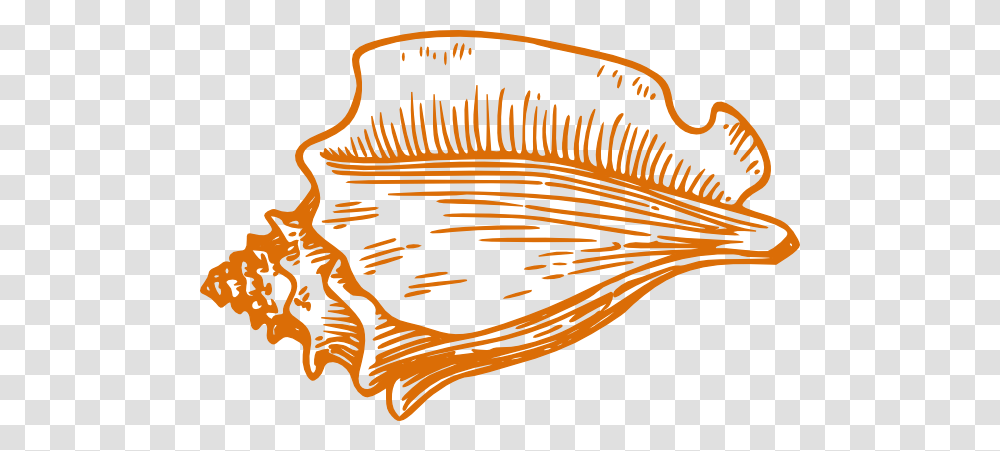 Conch Shell Clip Art, Animal, Fish, Plant, Sea Life Transparent Png