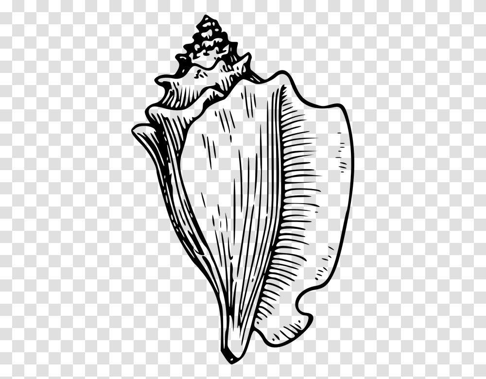 Conch Shell Clipart Conch Shell Black And White Clipart, Gray, World Of Warcraft Transparent Png