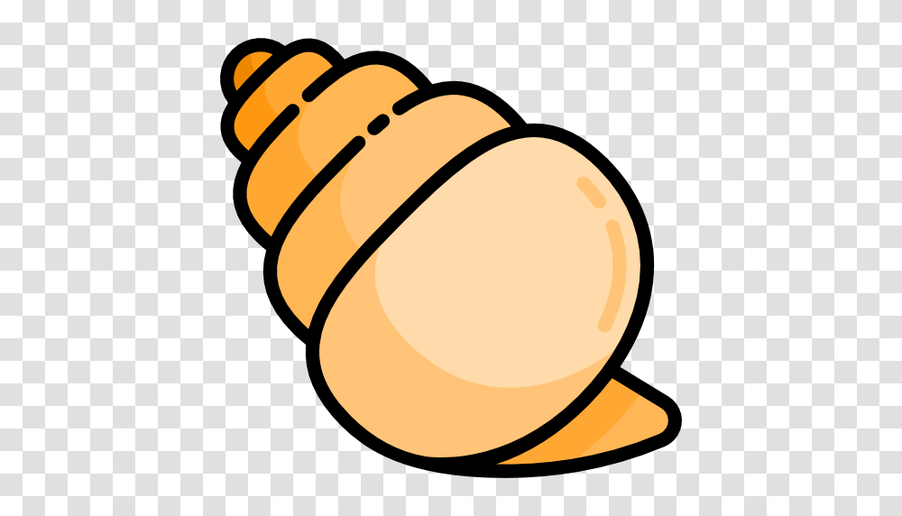 Conch Shell, Food, Plant, Seed, Grain Transparent Png