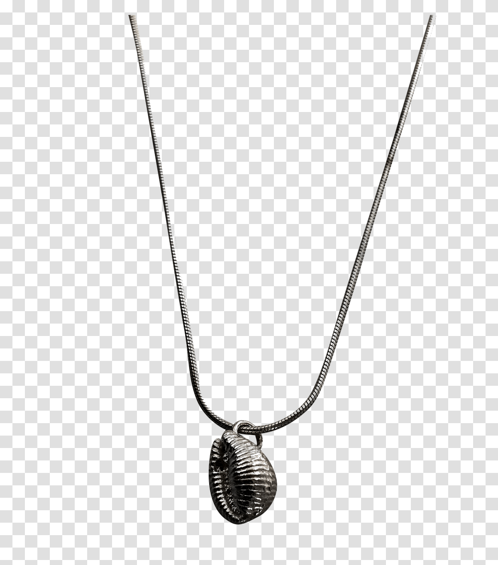 Conch Shell Necklace, Bow, Jewelry, Accessories, Accessory Transparent Png