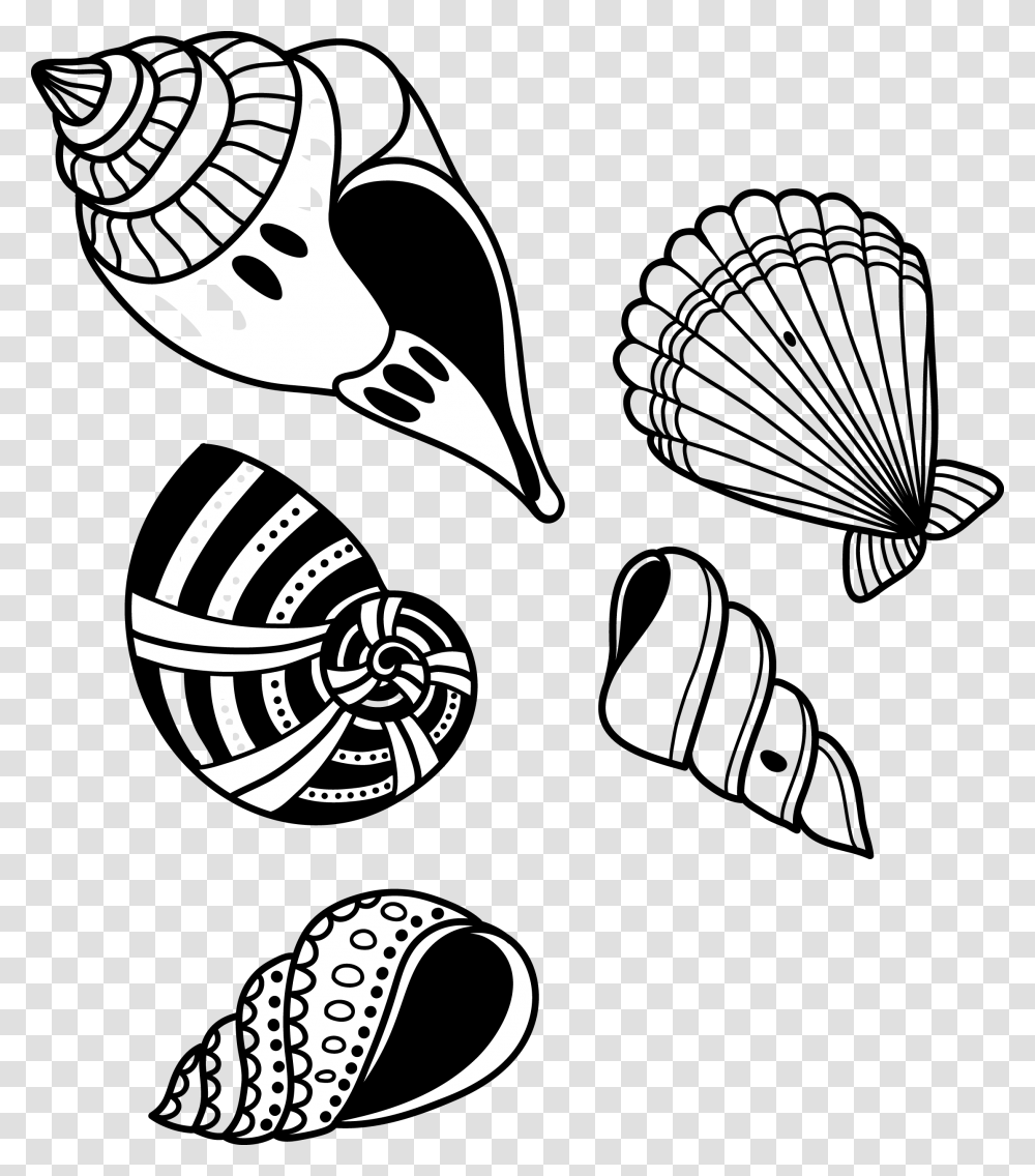 Conch Shell Transprent Free Download Monochrome Hand Drawn Seashell Vector, Seed, Grain, Produce, Vegetable Transparent Png