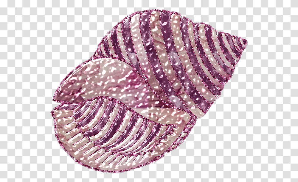 Conchshell Shell Glitter Ocean Seashell Sea Shell Glitter, Clam, Invertebrate, Sea Life, Animal Transparent Png