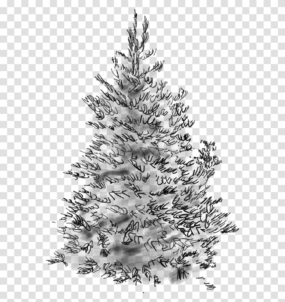 Concolor Fir Sketch Christmas Tree, Gray, World Of Warcraft Transparent Png