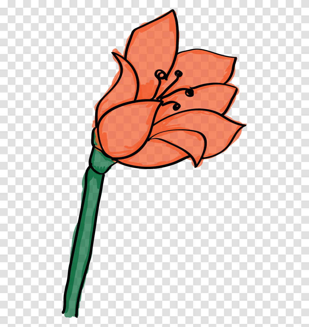 Condolences Clip Art, Plant, Flower, Blossom, Tulip Transparent Png