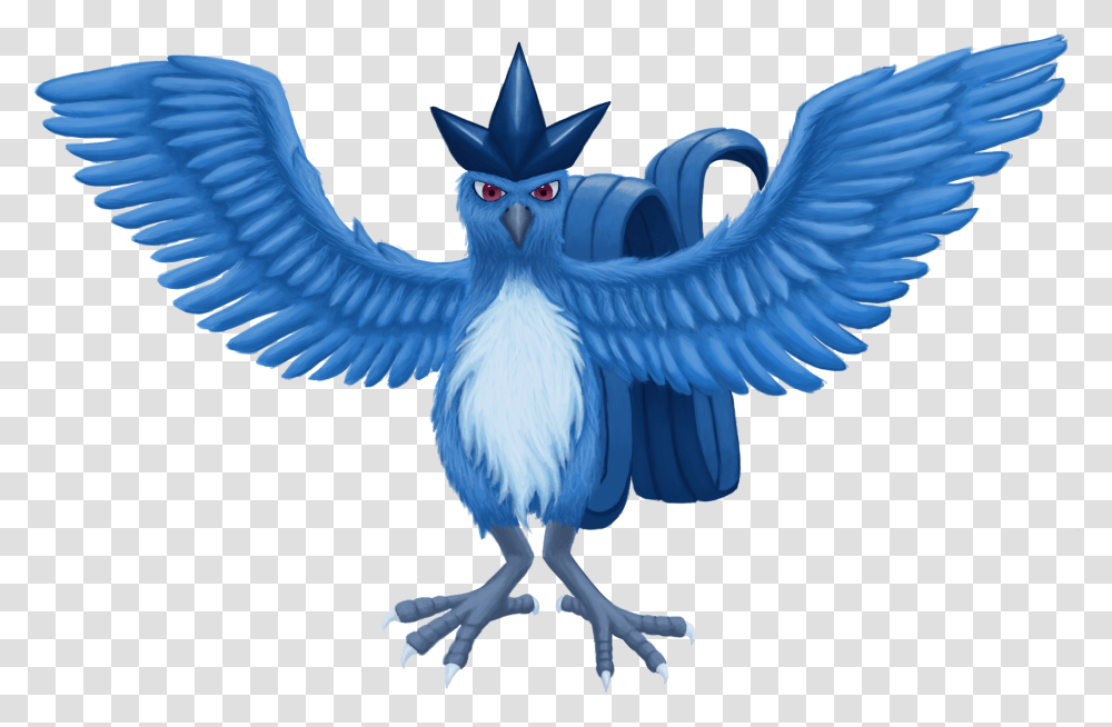 Condor, Bird, Animal, Jay, Blue Jay Transparent Png