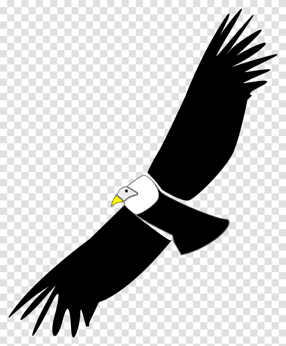 Condor Clipart, Vulture, Bird, Animal, Eagle Transparent Png