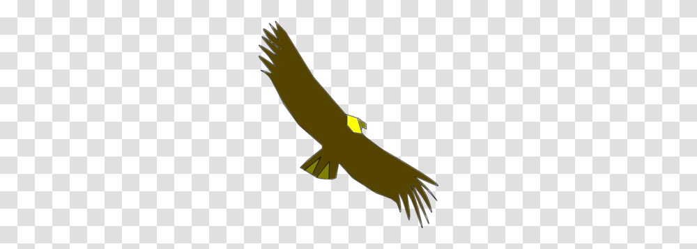Condor Colombiano Clip Art, Animal, Flying, Bird, Arm Transparent Png
