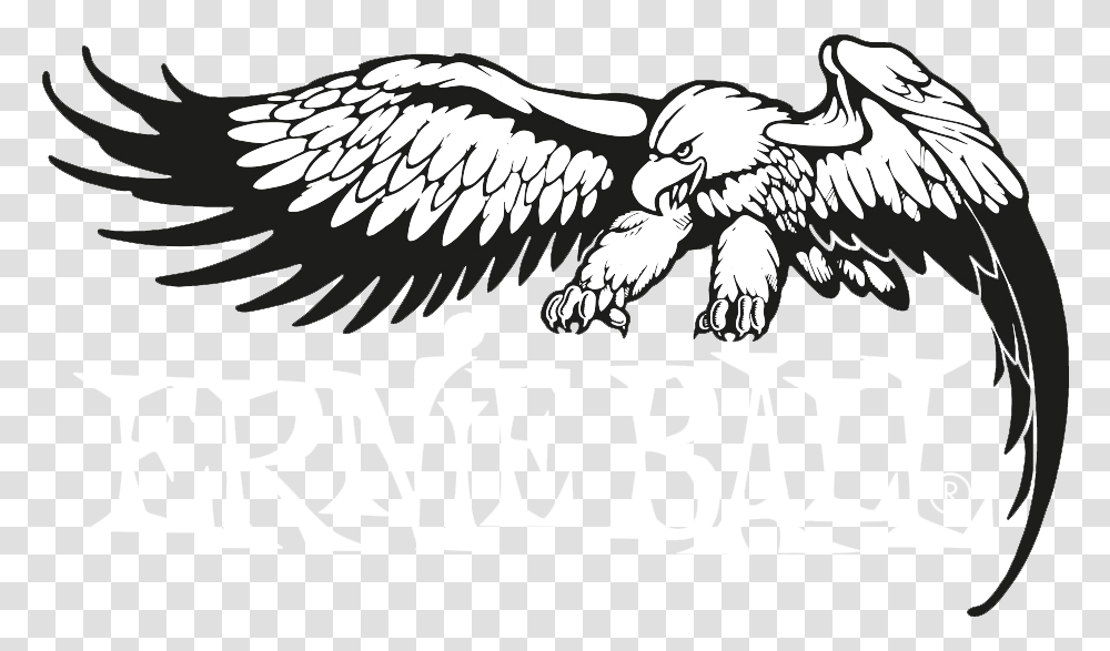 Condor Drawing Line Picture 996743 Ernie Ball Strings, Eagle, Bird, Animal, Poster Transparent Png