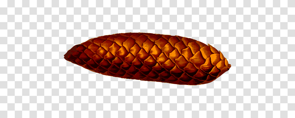 Cone Nature, Plant, Rug, Food Transparent Png