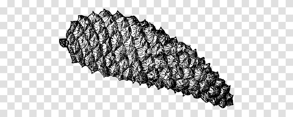 Cone Nature, Gray, World Of Warcraft Transparent Png