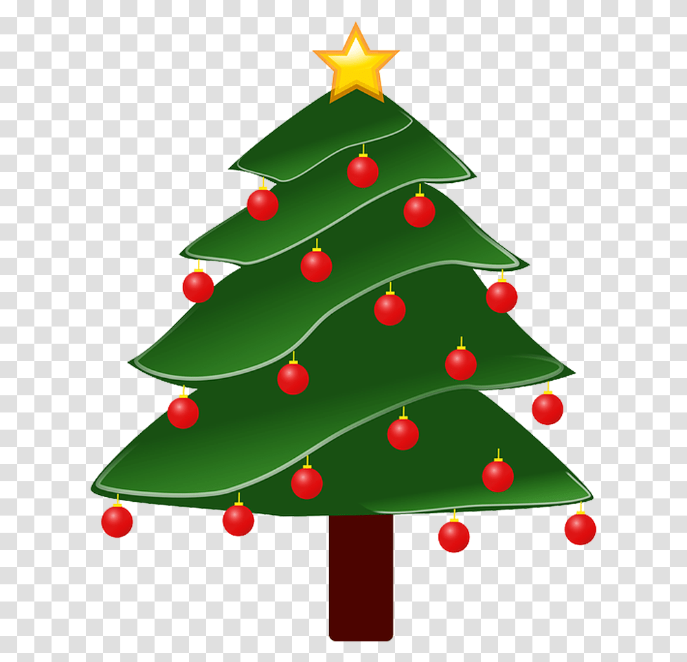 Cone Natal Christmas Trees Where Did They Come, Plant, Ornament, Star Symbol Transparent Png