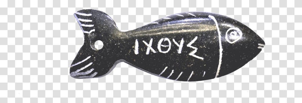 Cone Wrench, Fish, Animal, Whale, Mammal Transparent Png