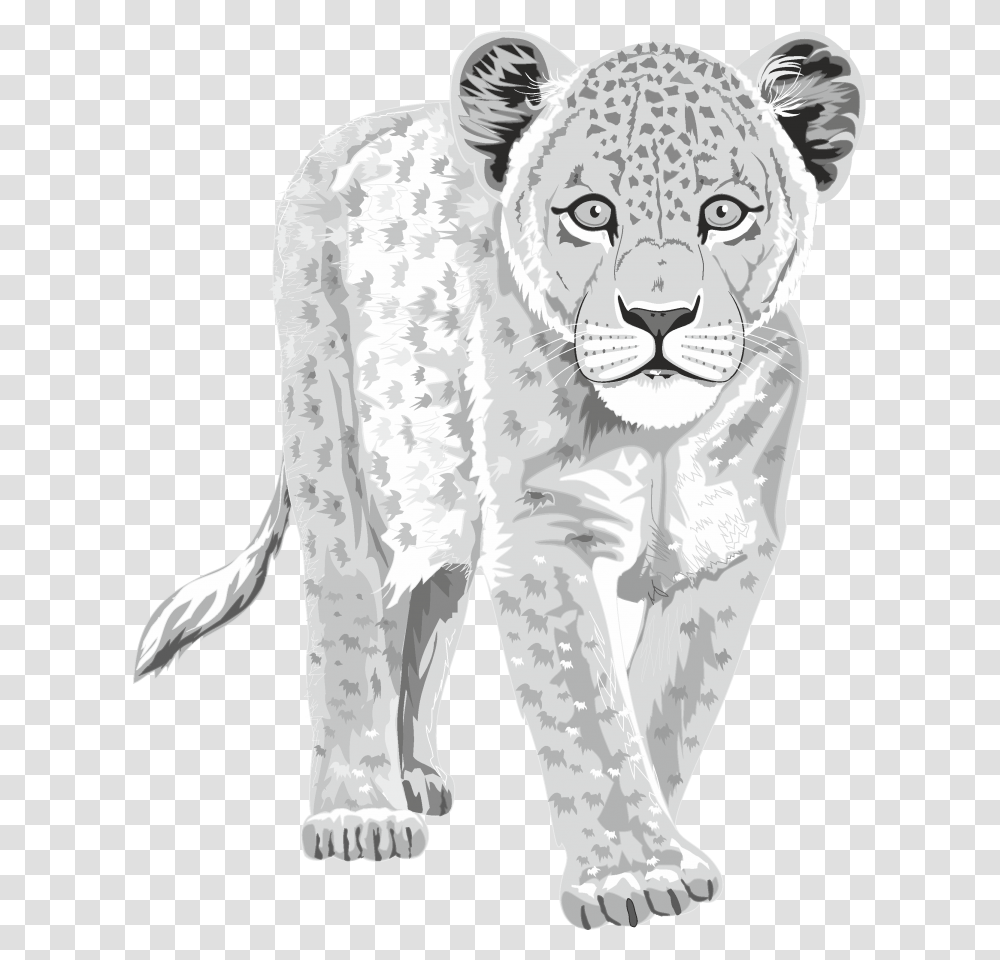 Confidence Is Silent, Mammal, Animal, Wildlife, Lion Transparent Png