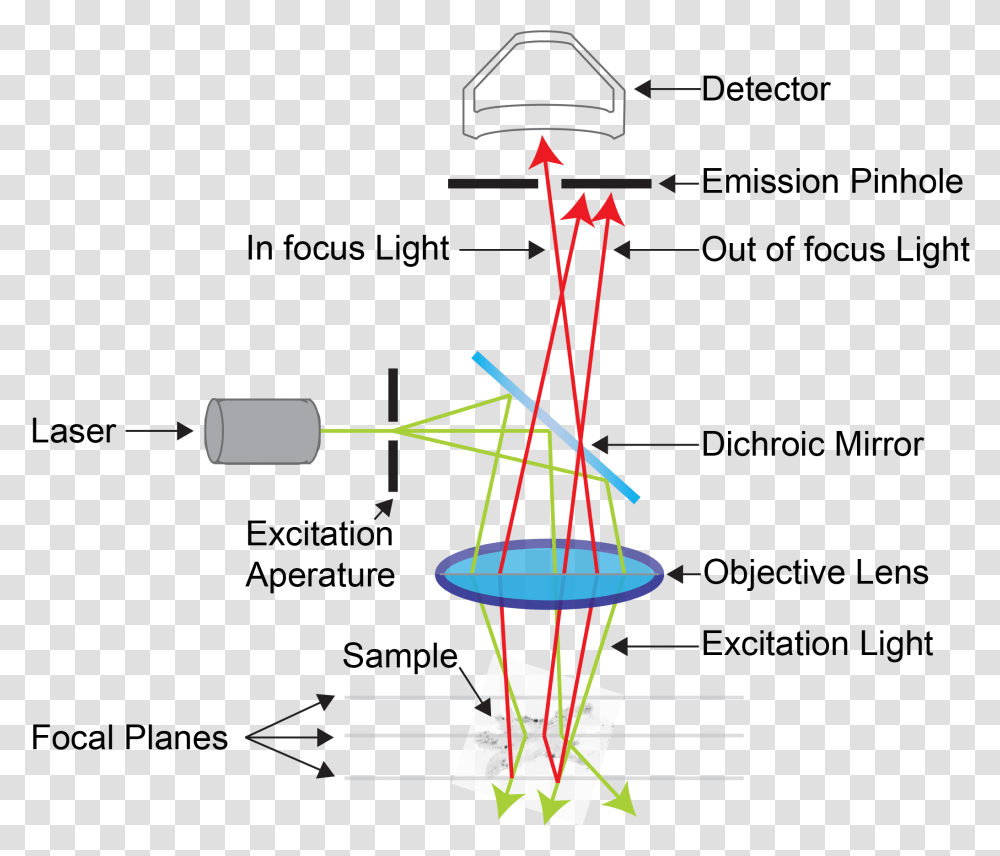 Confocal Microscopy, Plot, Diagram, Utility Pole, Machine Transparent Png