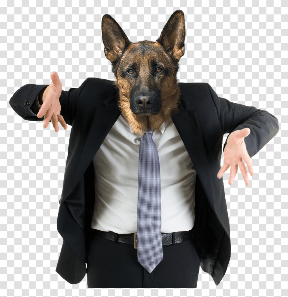 Confused Dog Stock Image Of Man Shrugging, Tie, Accessories, Shirt Transparent Png