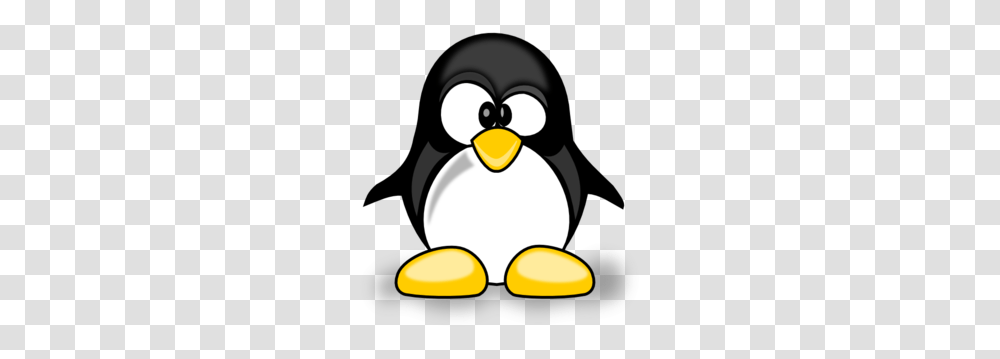 Confused Images Icon Cliparts, Penguin, Bird, Animal, King Penguin Transparent Png