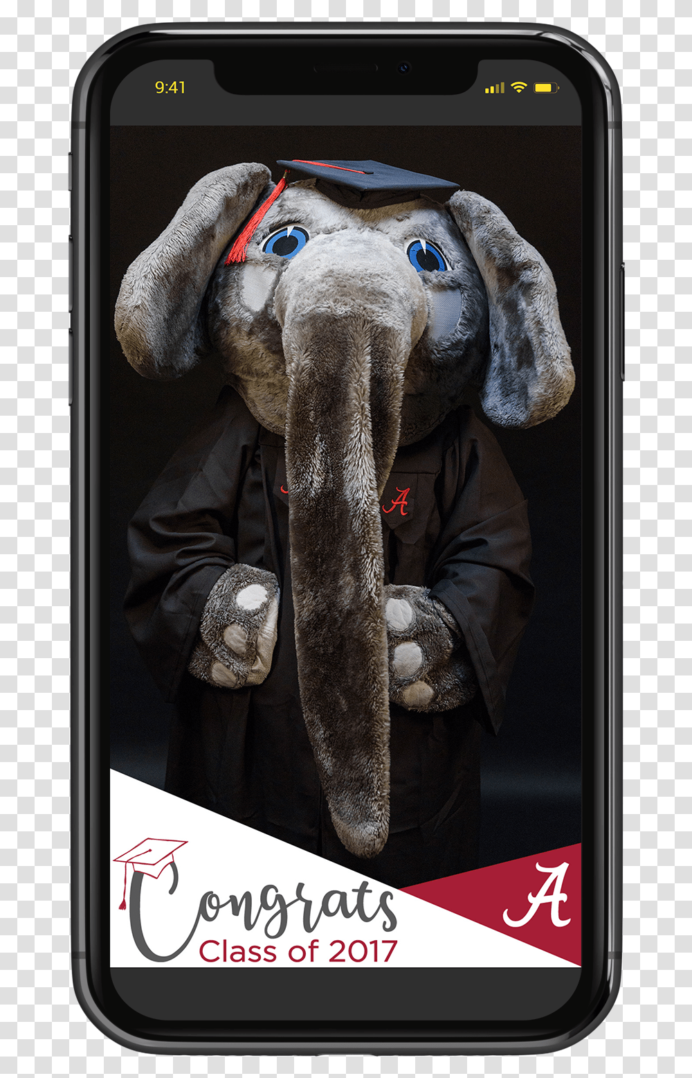 Congrats Grad Snapchat Alabama Crimson Tide, Elephant, Mammal, Animal Transparent Png