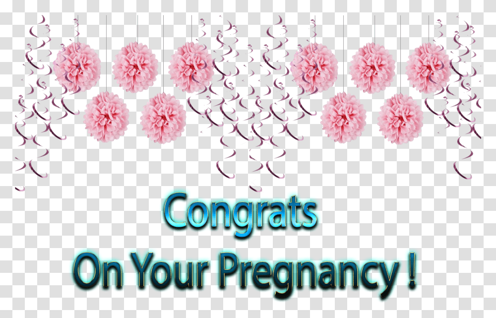 Congrats On Your Pregnancy Free Images Floral Design, Plant, Flower, Carnation, Rug Transparent Png