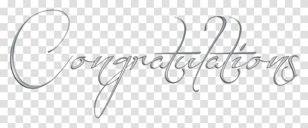 Congratulation Images Calligraphy Background Congratulations, Handwriting, Label, Bow Transparent Png