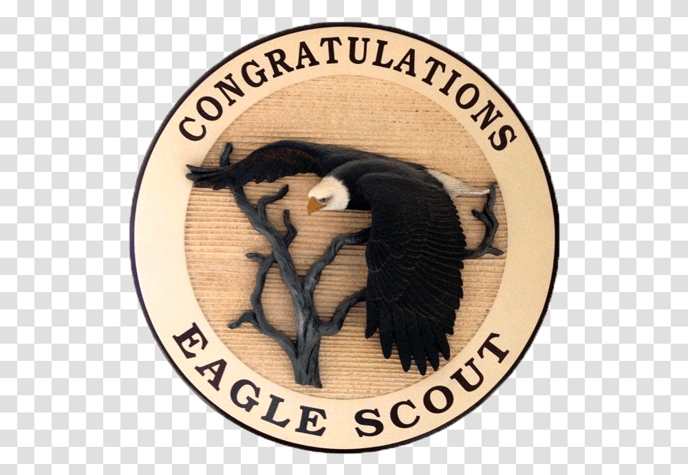 Congratulations Eagle Scout, Bird, Animal, Logo Transparent Png