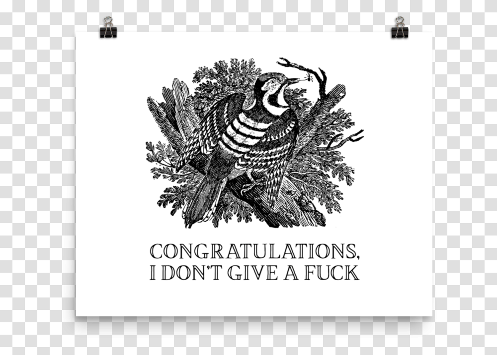 Congratulations I Don't Give A Fuck PosterSrcset Thomas Bewick, Bird, Animal Transparent Png