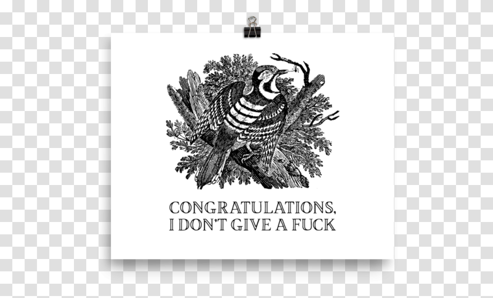 Congratulations I Don't Give A Fuck PosterSrcset Thomas Bewick, Bird, Animal, Vulture, Condor Transparent Png