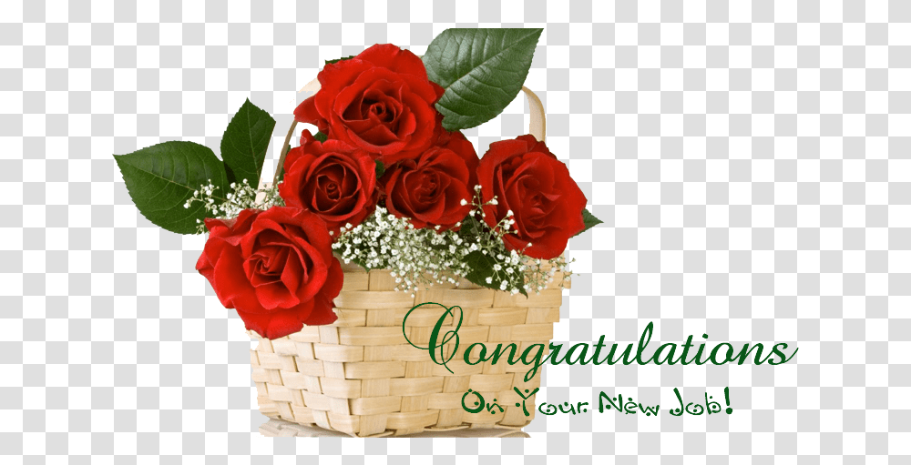 Congratulations Images With Flowers Happy Rose Day Friends, Plant, Blossom, Flower Bouquet, Flower Arrangement Transparent Png
