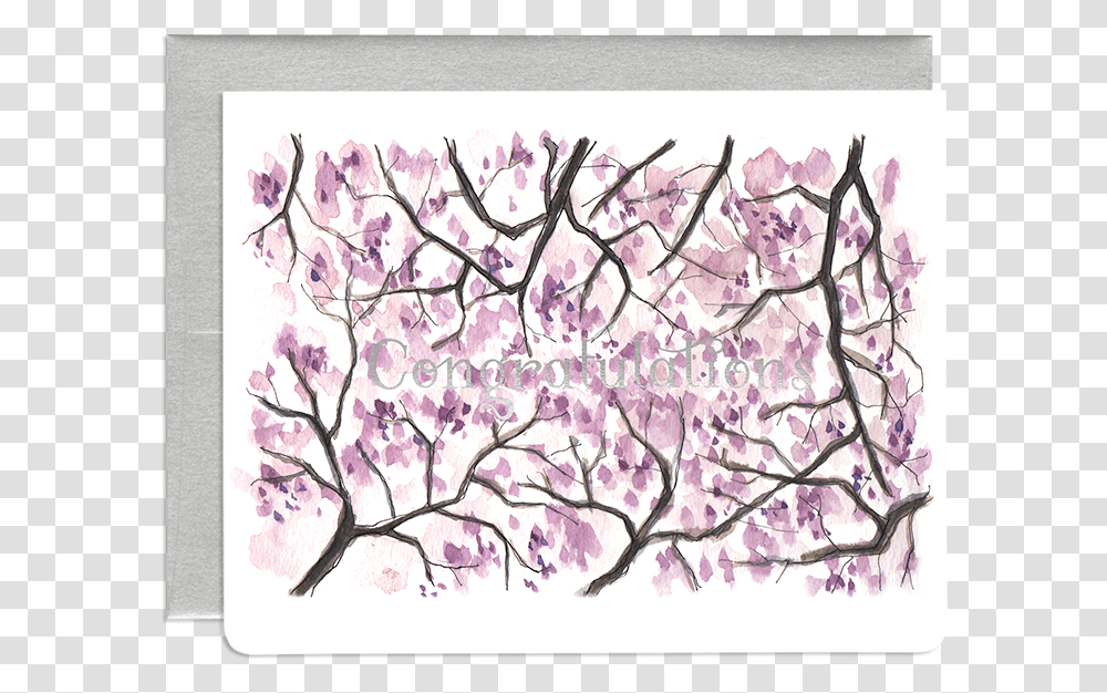 Congratulations Sakura Card With Silver Foil Cherry Blossom, Plant, Flower, Painting Transparent Png