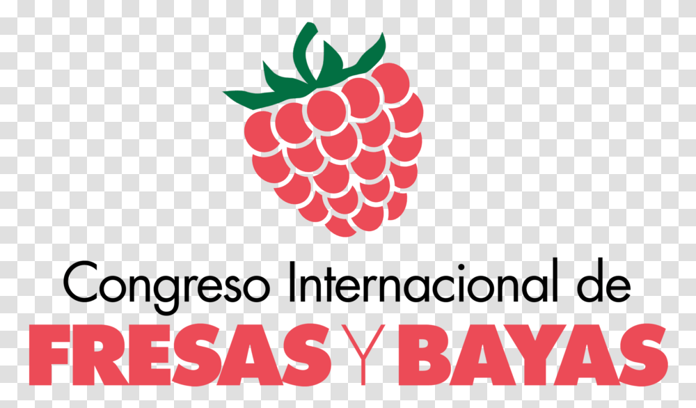 Congreso Internacional De Bayas Y Fresas Anadolu Hayat Emeklilik A.s, Plant, Fruit, Food Transparent Png