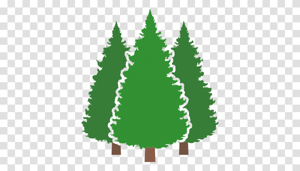 Conifer Evergreen Forest Jungle Pine Tree Trees Icon, Plant, Fir, Abies, Ornament Transparent Png