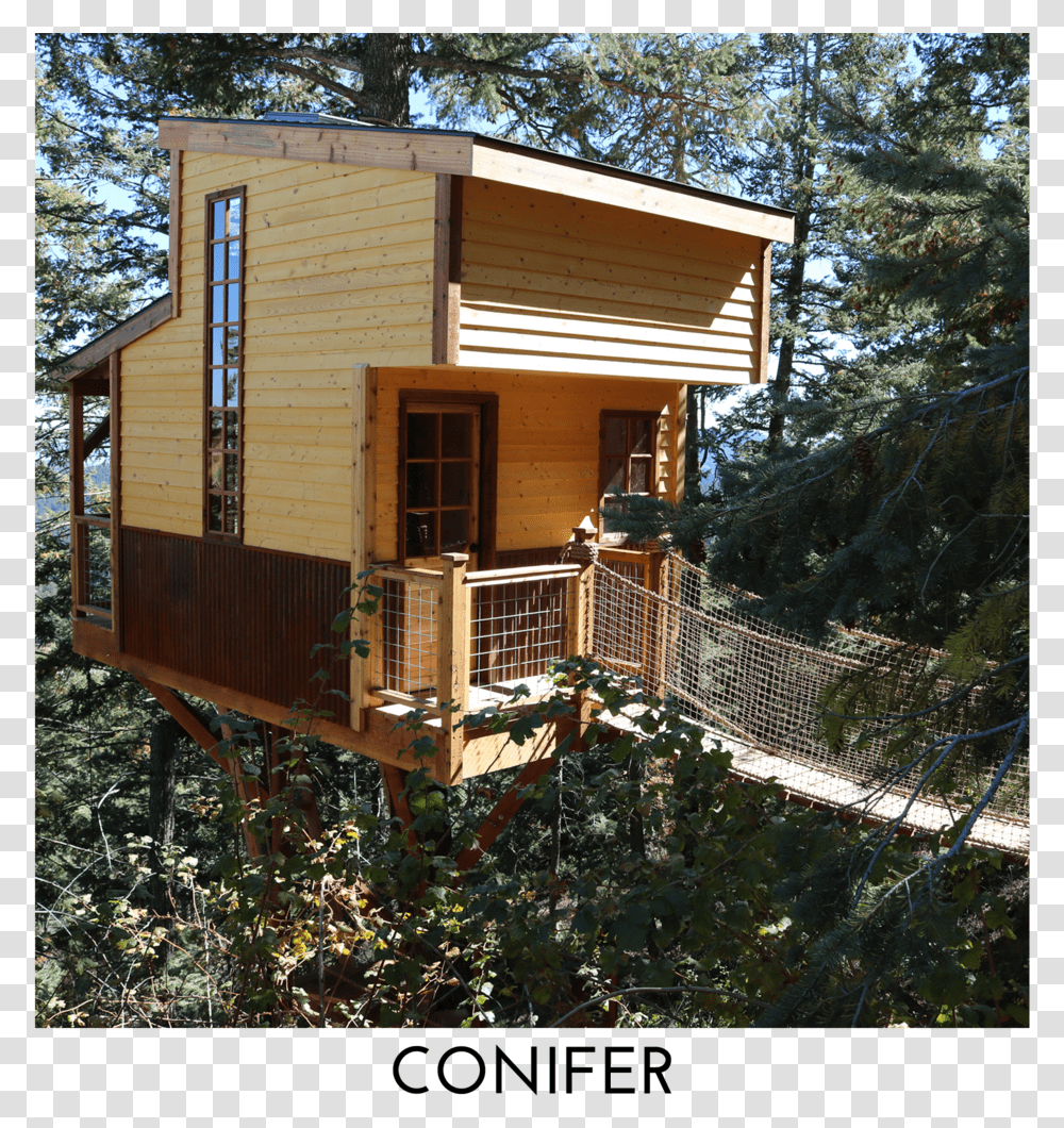 Conifer Square Title Cottage, Housing, Building, Cabin, House Transparent Png