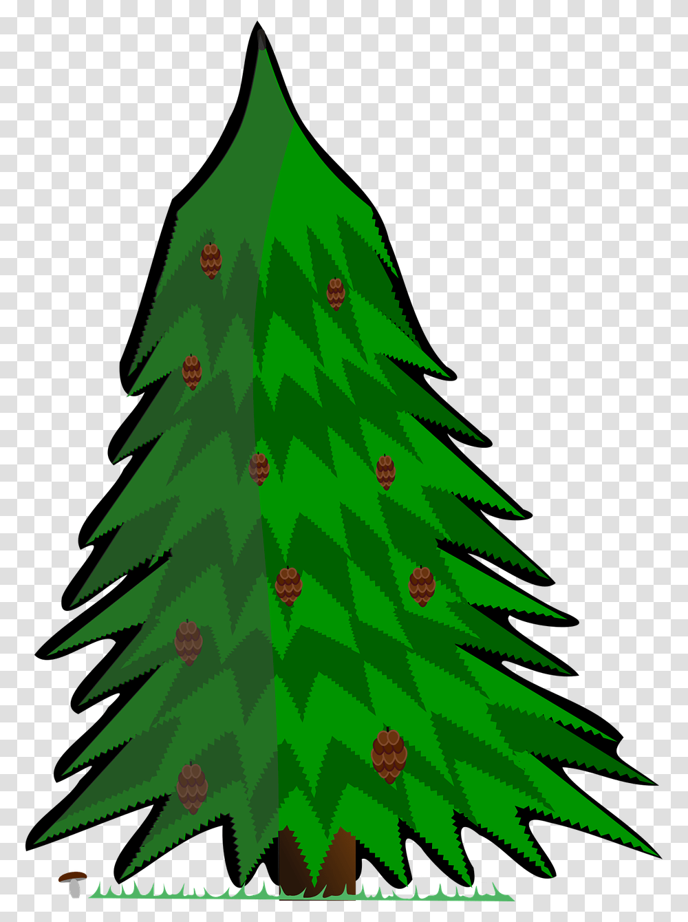 Conifer Vector Tree Free Picture Kreslen Jehlinat Strom, Plant, Ornament, Christmas Tree, Pine Transparent Png