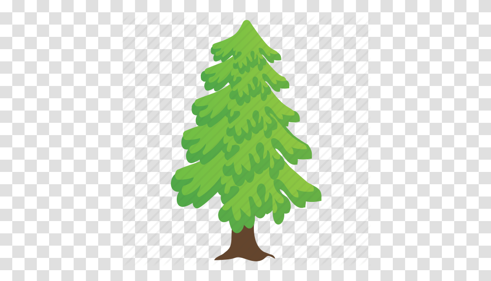 Coniferous Tree Fir Tree Nature Pine Tree Poplar Tree Icon, Plant, Ornament, Christmas Tree, Abies Transparent Png