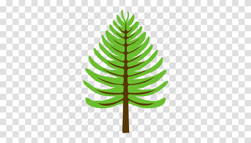 Coniferous Tree Fir Tree Nature Pine Tree Poplar Tree Icon, Plant, Pineapple, Fruit, Food Transparent Png