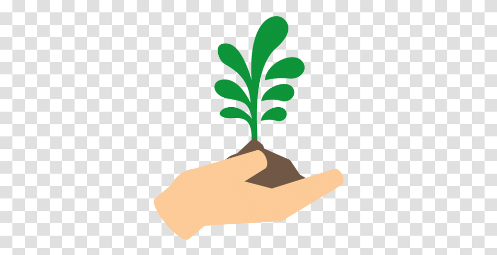 Connection To Nature Icon Illustration, Plant, Potted Plant, Vase, Jar Transparent Png