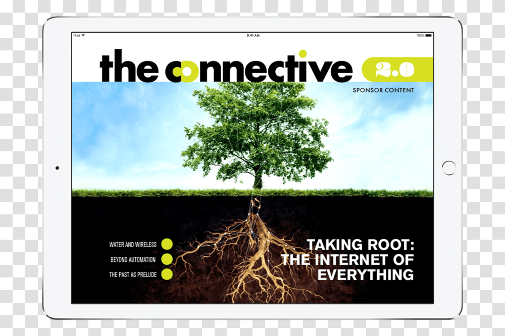 Connectivecover, Plant, Root, Poster, Advertisement Transparent Png