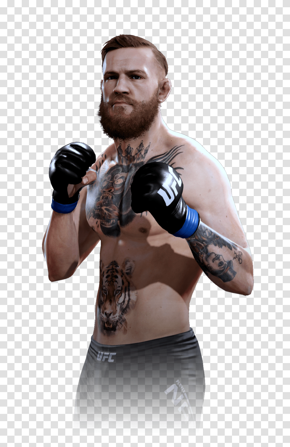 Conor Mcgregor, Celebrity, Person, Human, Skin Transparent Png