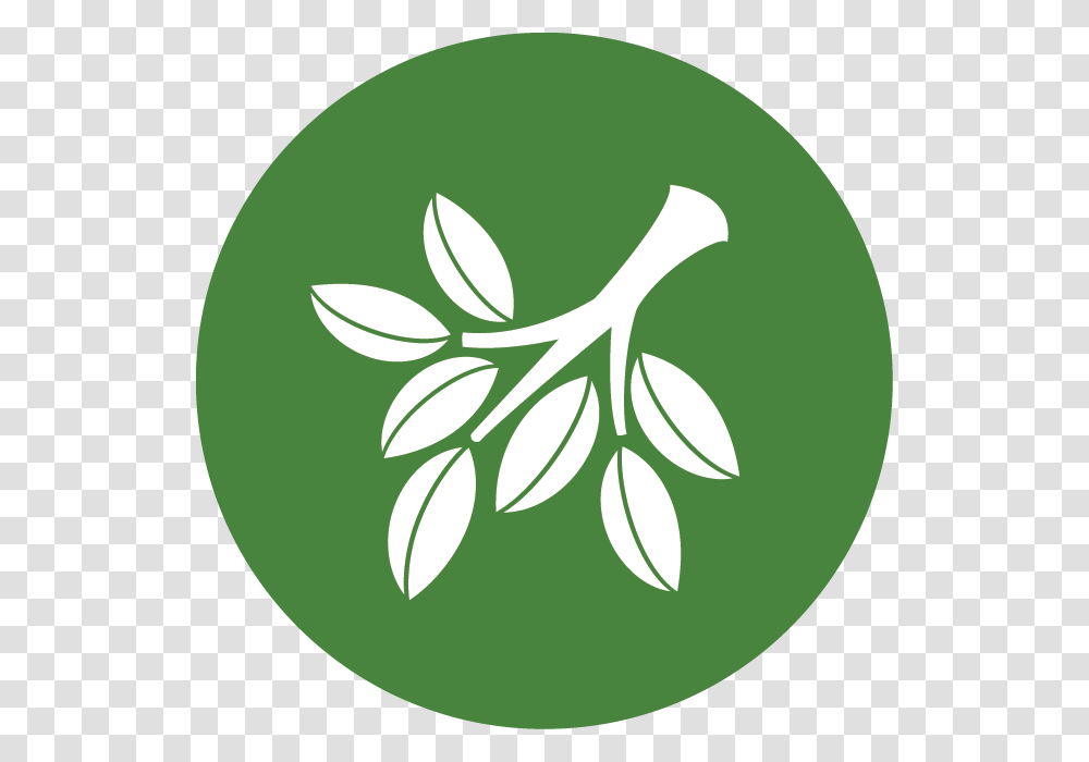 Conservation Csp Emblem, Tennis Ball, Plant, Logo Transparent Png