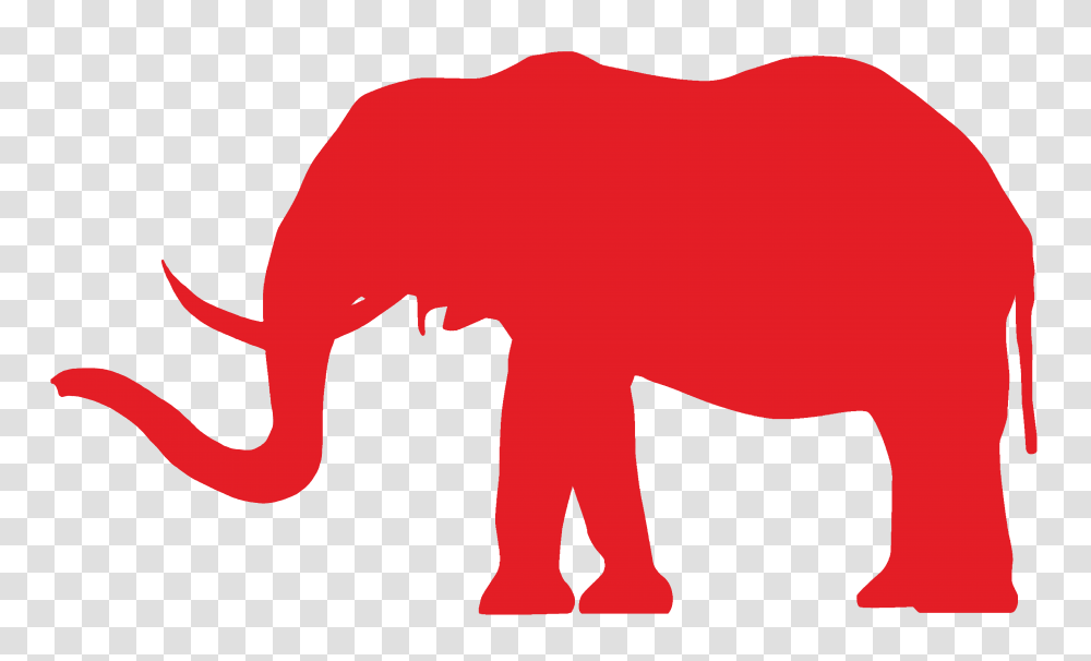 Conservative Elephant, First Aid, Animal, Plot, Mammal Transparent Png