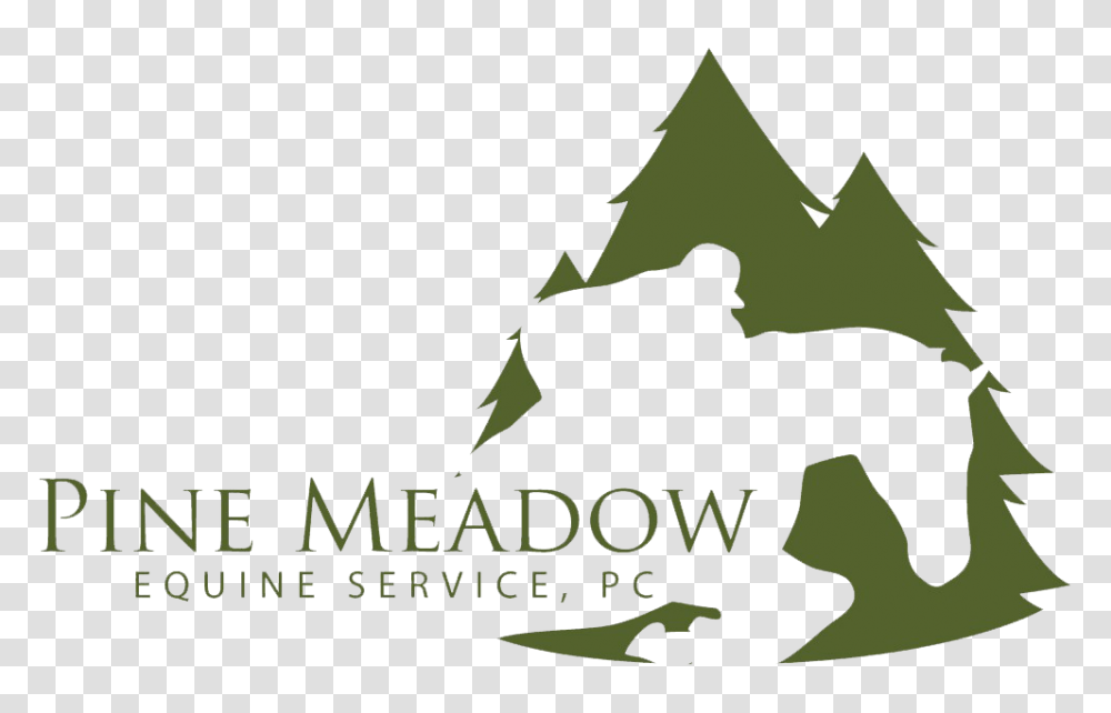 Contact A Equine Veterinarian In Yorktown Va Pine Meadow Equine, Leaf, Plant, Tree Transparent Png