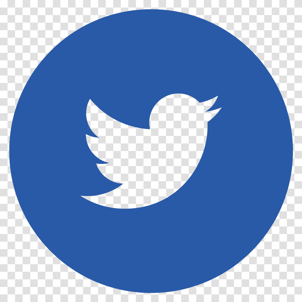 Contact Eridan Twitter Icon Circle, Bird, Animal, Text, Eagle Transparent Png
