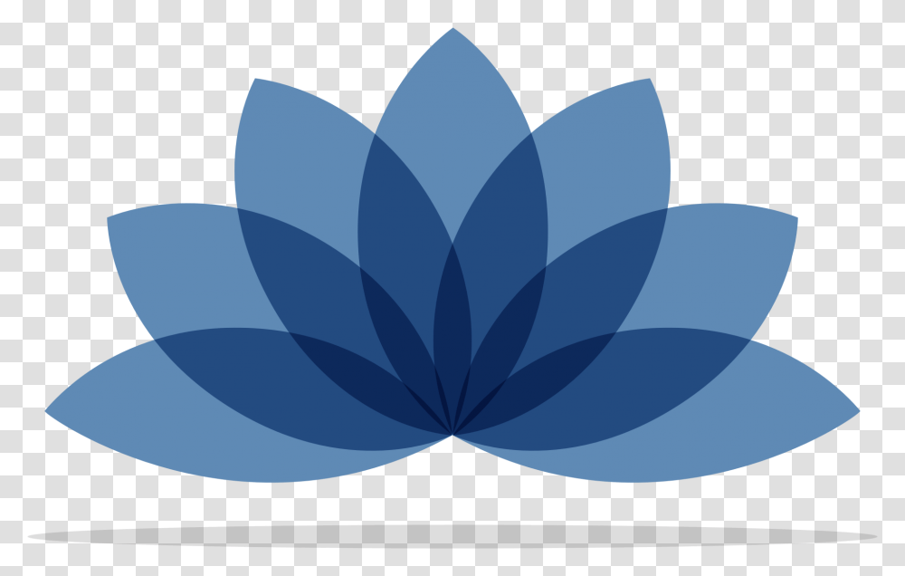 Contact Language, Plant, Petal, Flower, Symbol Transparent Png