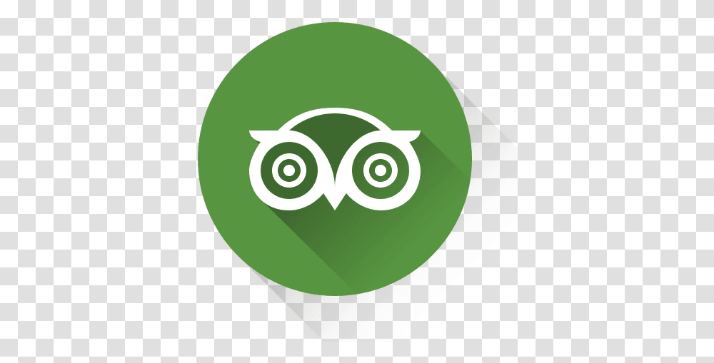 Contact Spirit Of Rainbow Circular Tripadvisor Icon, Tennis Ball, Sport, Sports, Plant Transparent Png