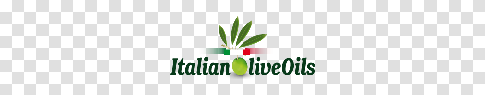 Contact The Most Important Italian Olive Oil Producers, Plant, Tennis, Sport, Sports Transparent Png
