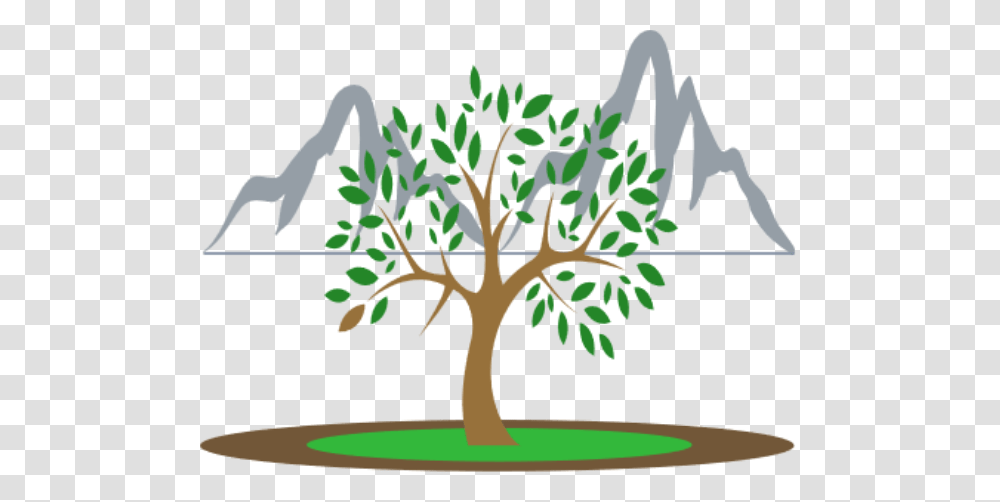 Contact Twin Peaks Genealogy, Tree, Plant, Tree Trunk, Root Transparent Png